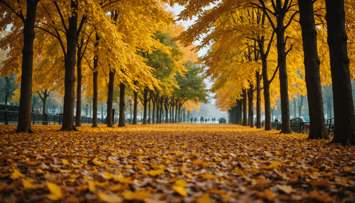 pag-image-687015a1a7372