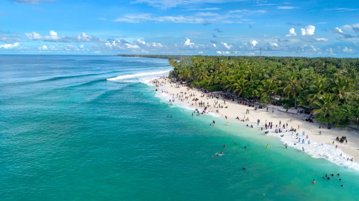 Vue aérienne d'une plage tropicale bordée de palmiers et d'une eau turquoise